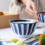 Japanese Ceramic Dinnerware Set